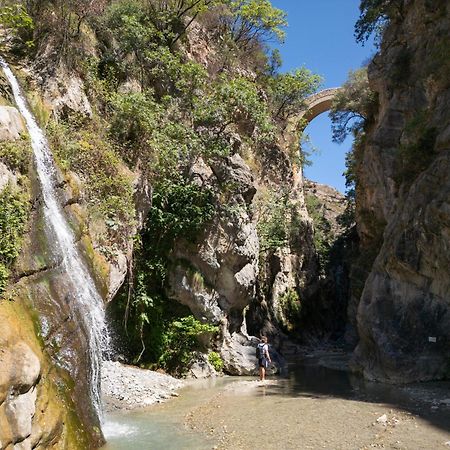 شيفيتا Il Belvedere المظهر الخارجي الصورة