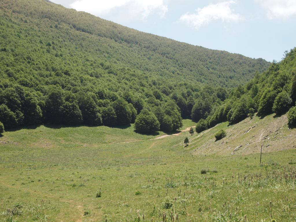 شيفيتا Il Belvedere المظهر الخارجي الصورة